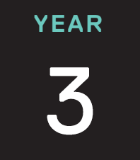 year three icon