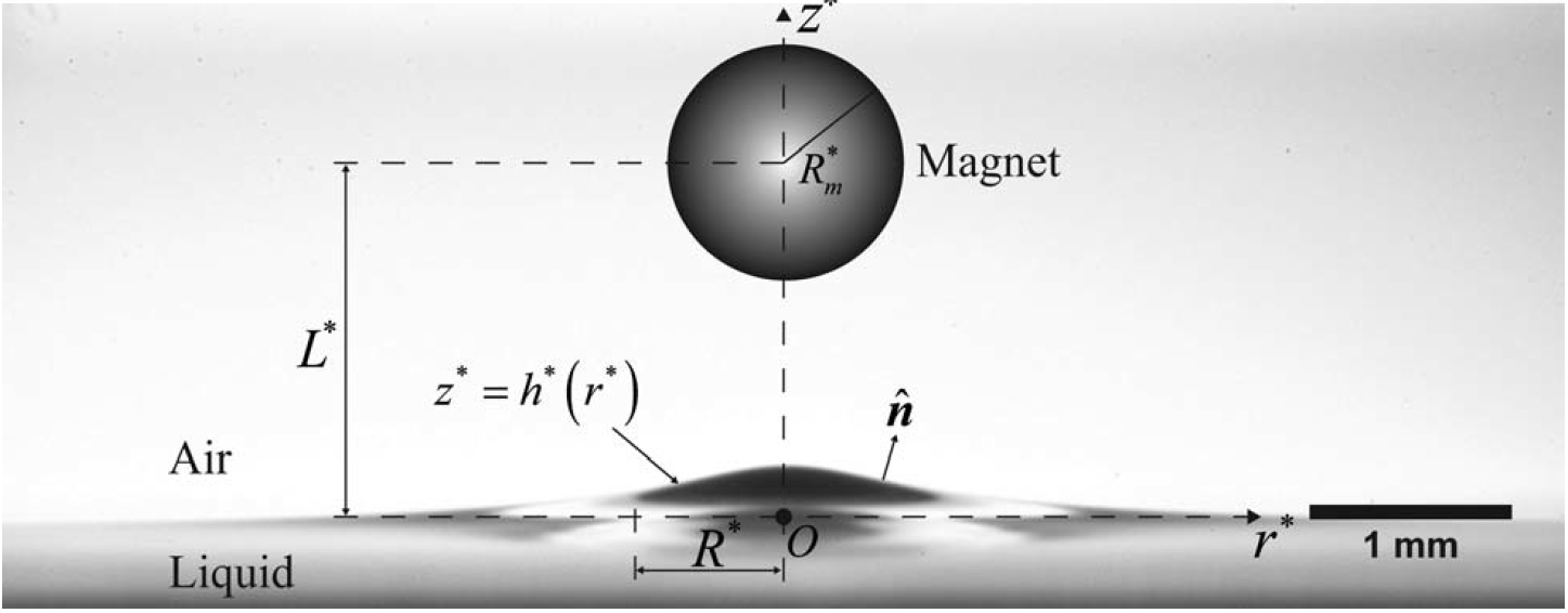 Schematic diagram of the magnetic deflection of a free surface.
