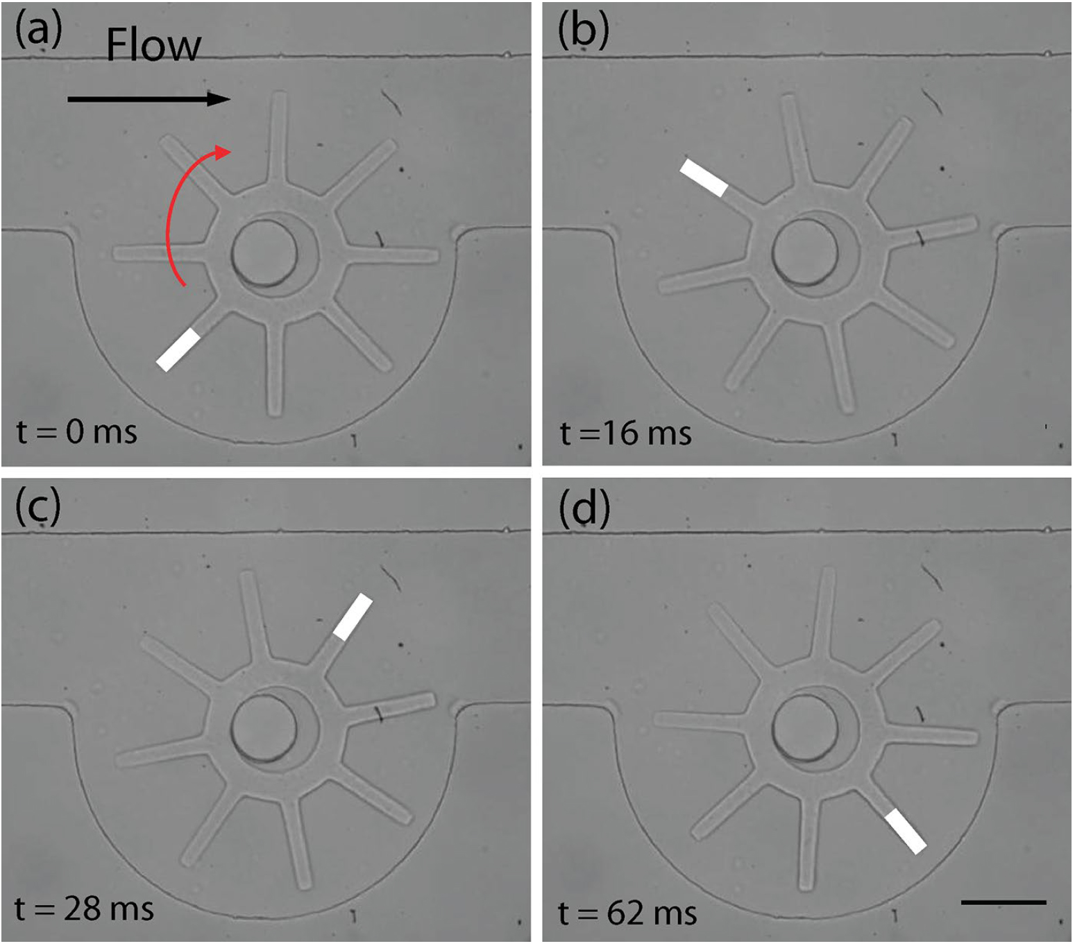 Experimental images of a gear made by stop flow lithography.
