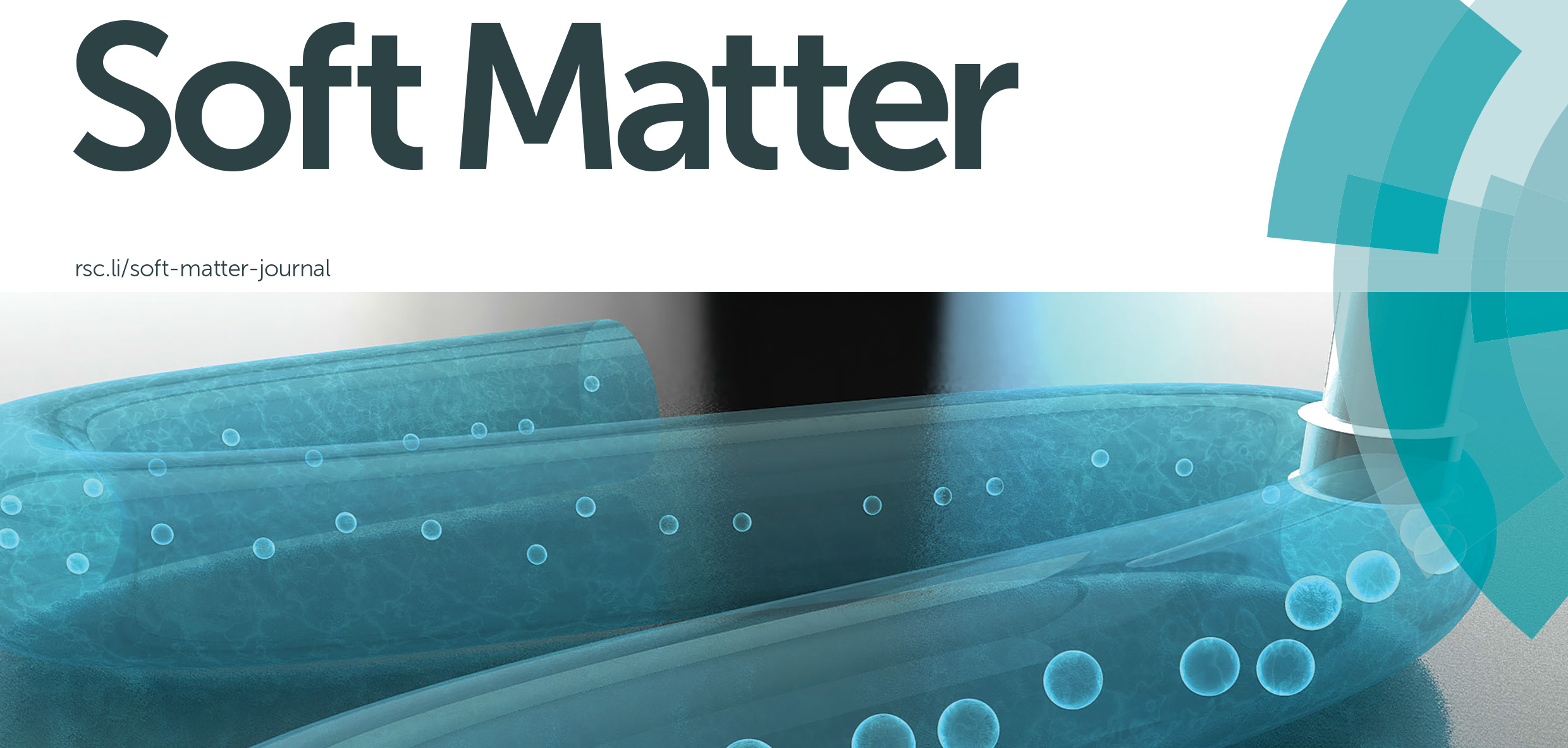 2017 cover article in Soft Matter on microbubble shrinkage.