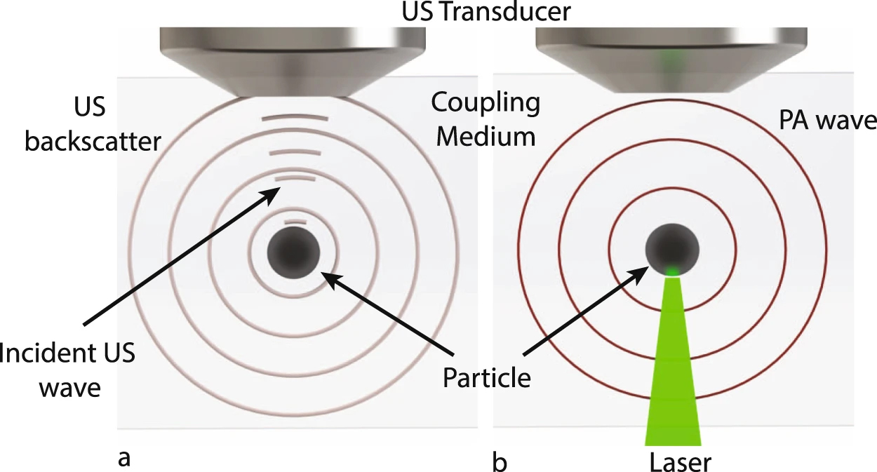 Schematic diagram describing how a laser can induce a photoacoustic wave.