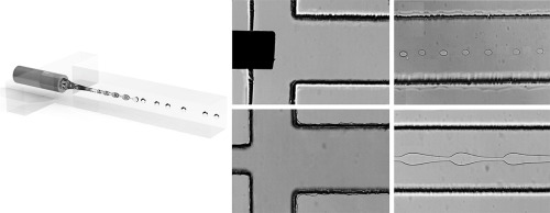 A hybrid microfluidic device generates microdroplets from aqueous two phase system fluids.