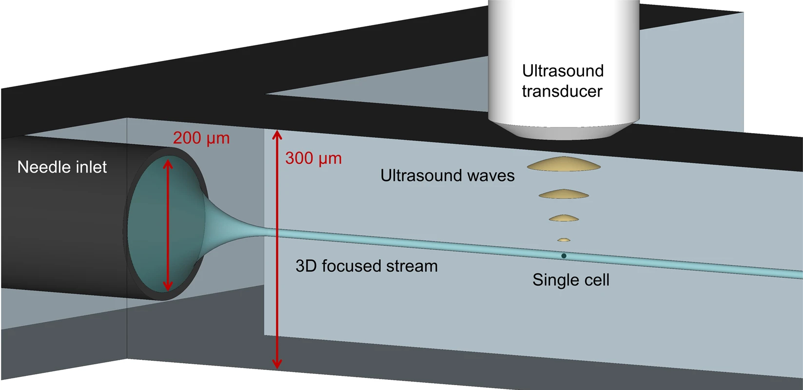 Schematic illustrating the combination of ultrasound and microfluidics to interrogate single cells.