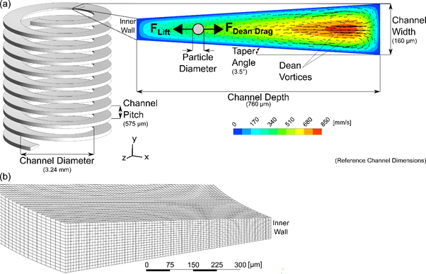 Numerical simulation results of inertial focusing in helical channels.