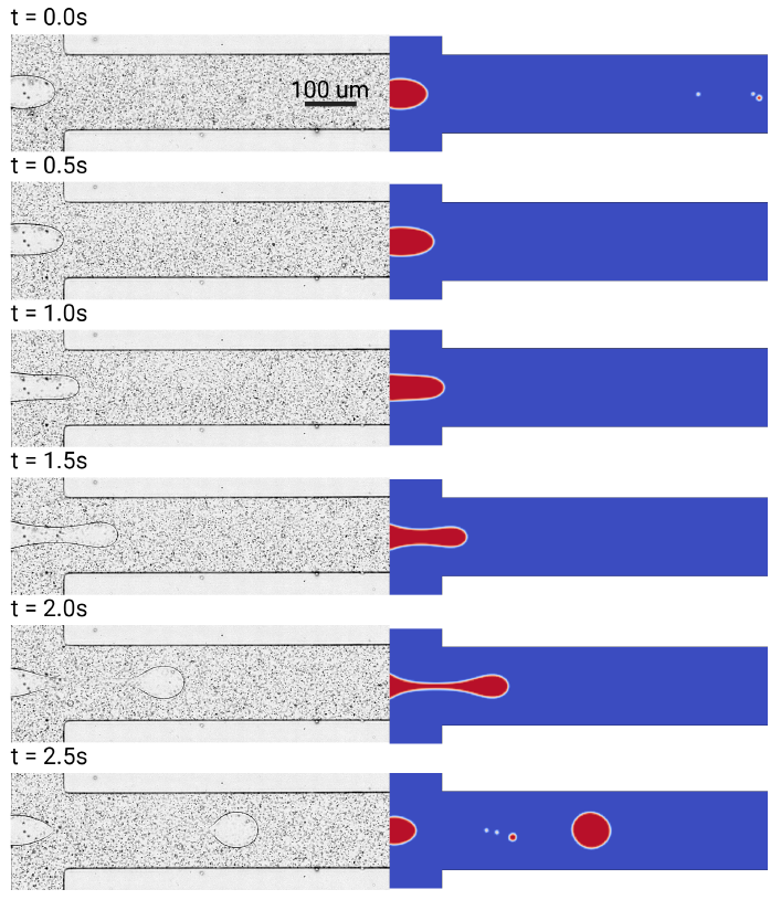 2026 Biomicrofluidics