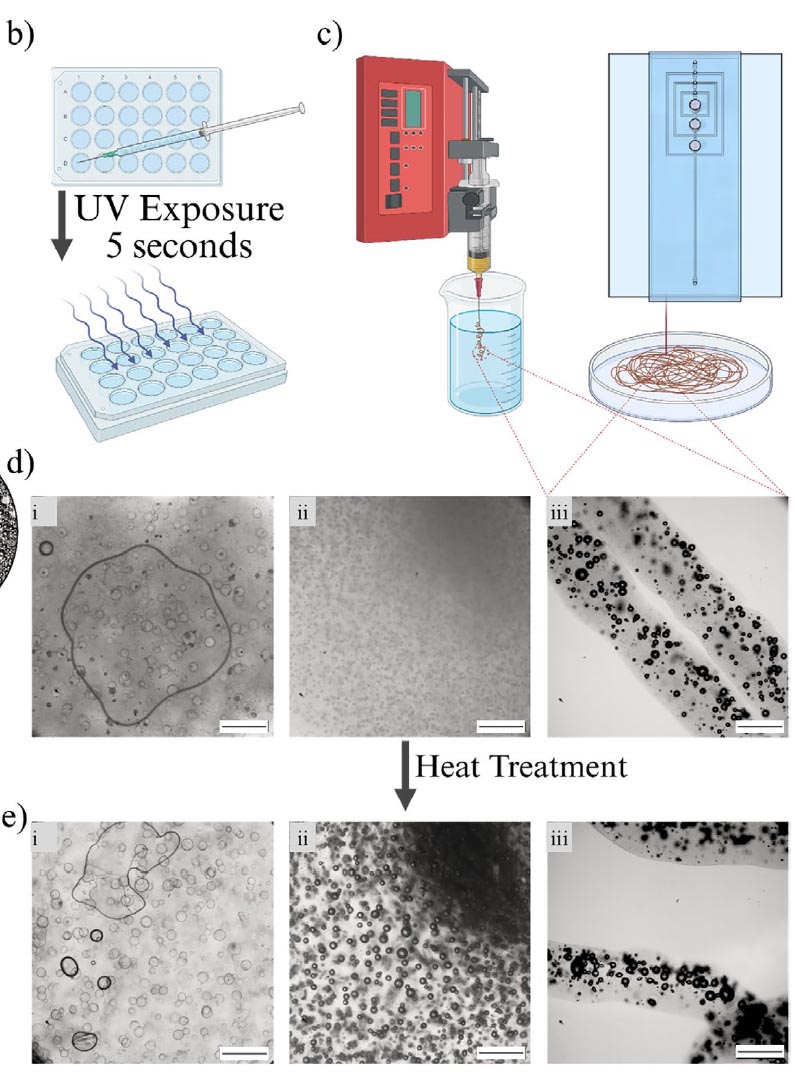 Incorporation of microbubbles into alginate fibers to control porosity