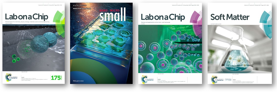 Examples of cover articles from LoFFI.
