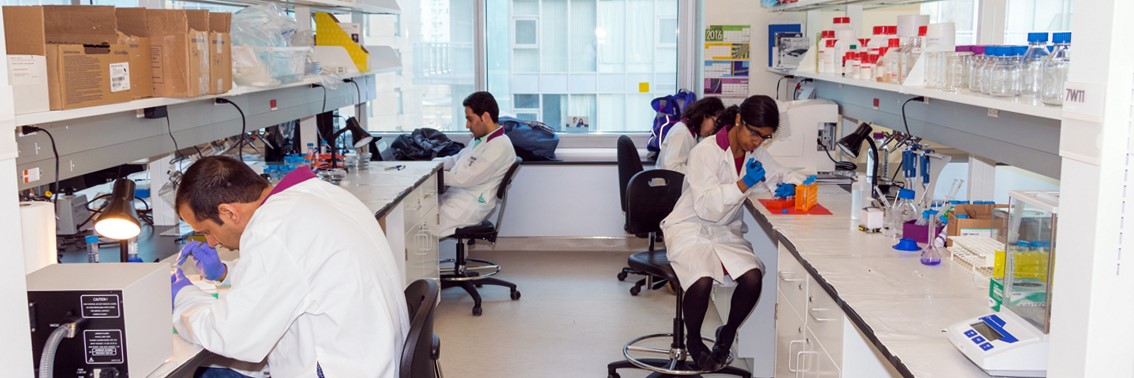 Research students working in the laboratory.