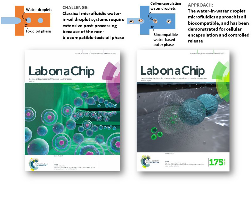 Water-in-water droplet microfluidics