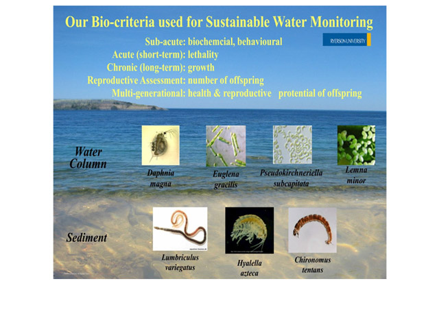 Water column and sediment bio-criteria used for sustainable water monitoring.