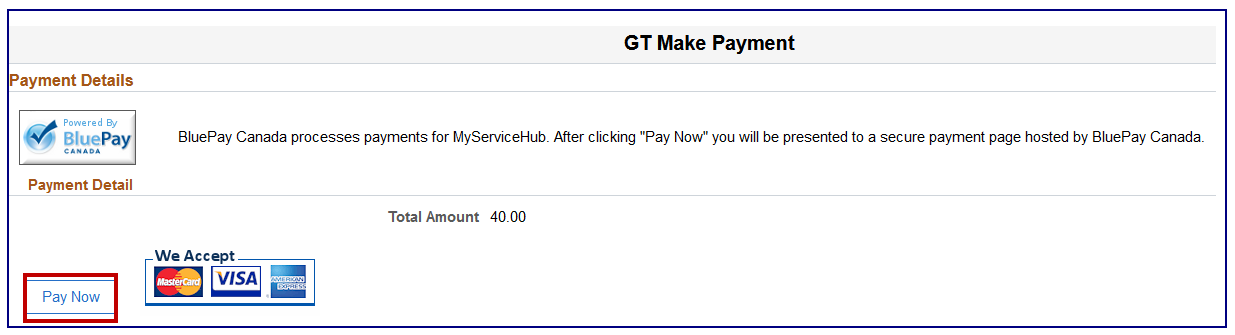The Payment Detail page with the Pay Now button at the bottom of the page highlighted.