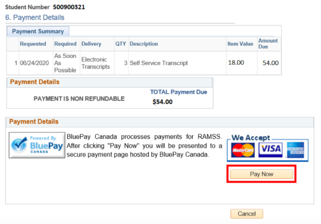 Payment Details: Section shows payment summary, amount due, a note that the payment is non-refundable, and payment details (Mastercard, Visa, American Express). "Pay Now" button is included at the bottom of this section.