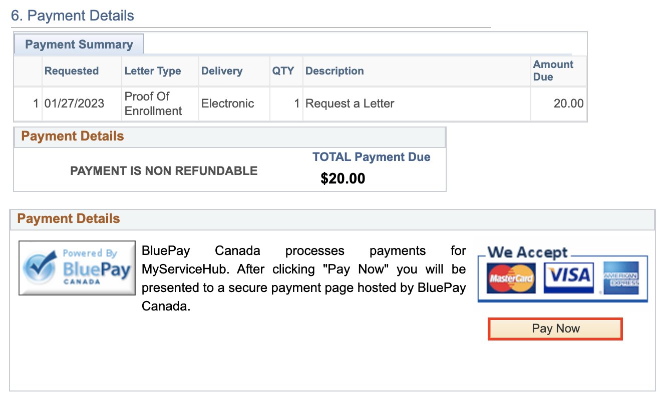 The Payment Summary section of the Payment Details page. A summary of payment details are shown, with a Pay Now button highlighted at the bottom of the page.