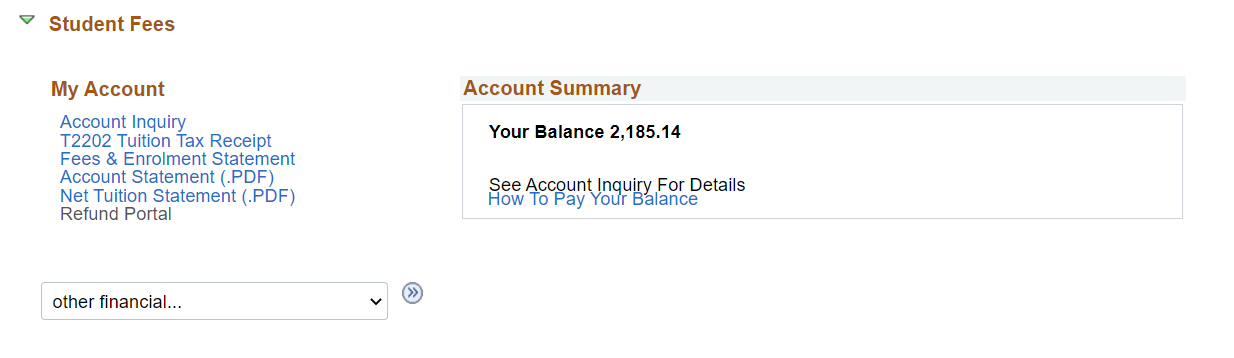 Account Summary in Student Fees section showing student's balance.