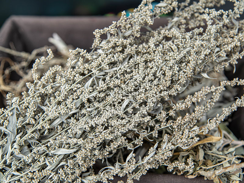 A bunch of dried sage in a grey cloth basket.
