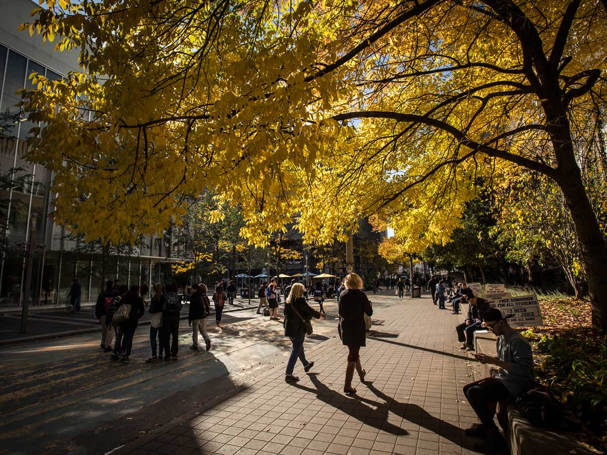 Ryerson University campus