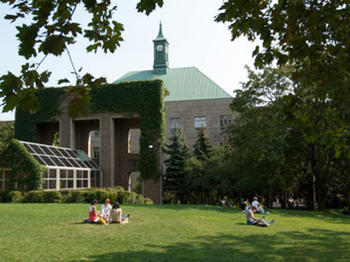 Students sitting in the quad