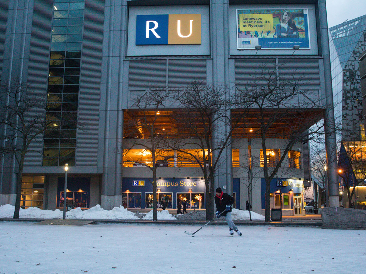 National Survey of Student Engagement