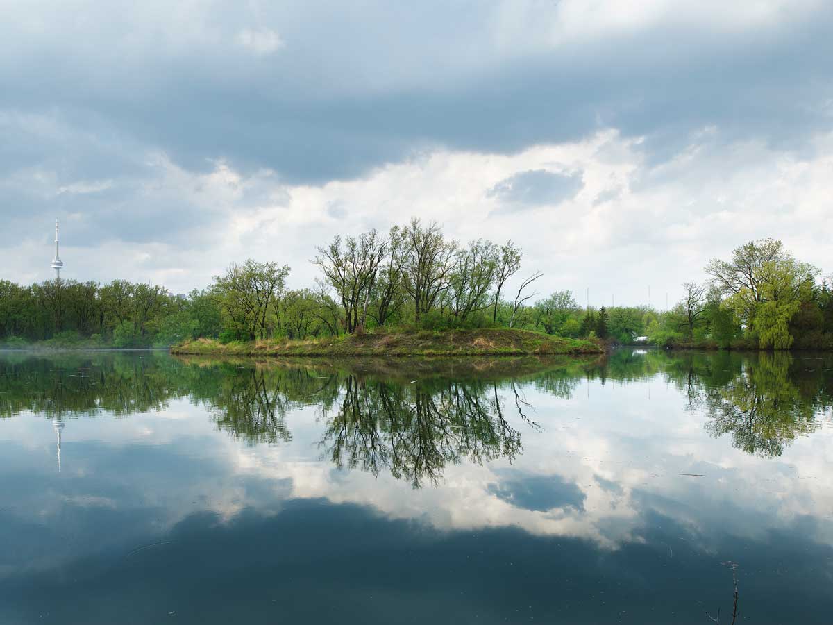 Hanlan's Island & Bird Sanctuary, Toronto Islands, 2014