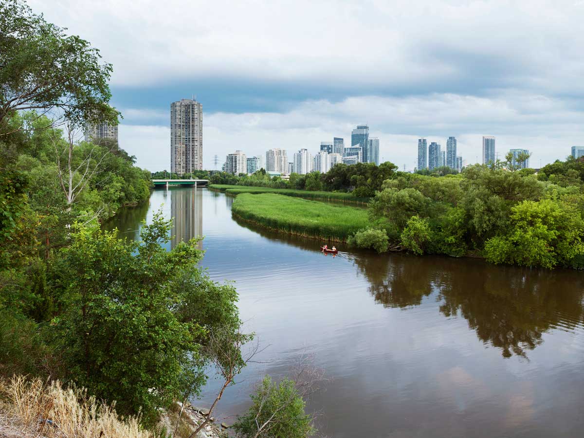 Humber Marshes at the mouth of the Humber River, 2016