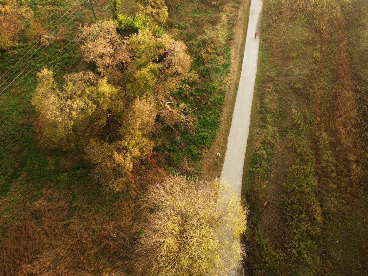 Lower Don Parklands Trail, 2014