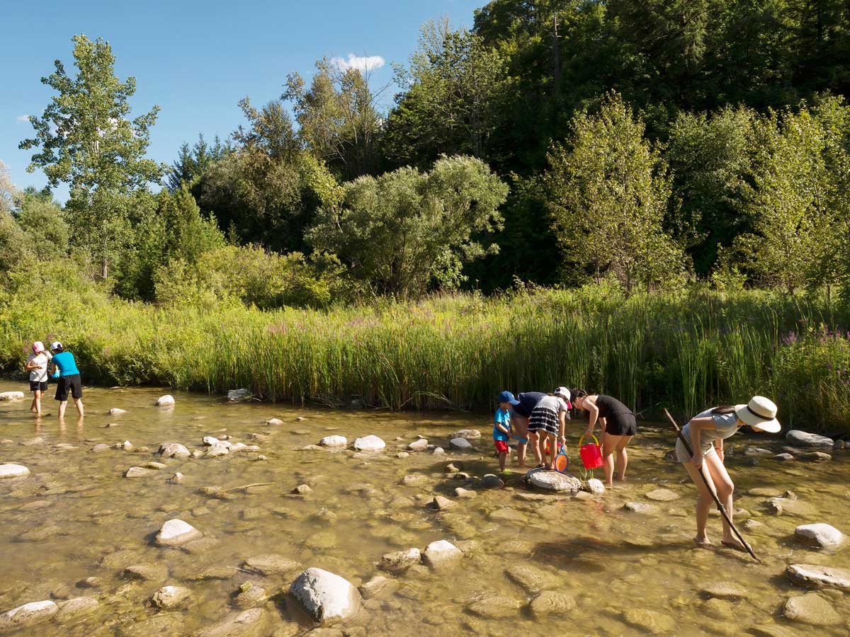 Searching for crayfish, Little Rouge Creek, Rouge Park, 2016