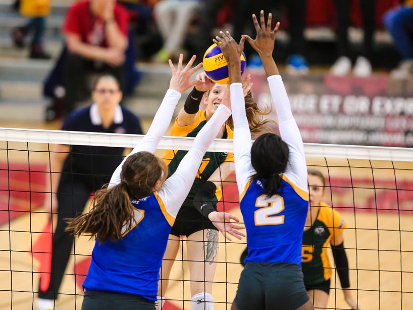 Ryerson vs. Alberta in the women's volleyball national championship
