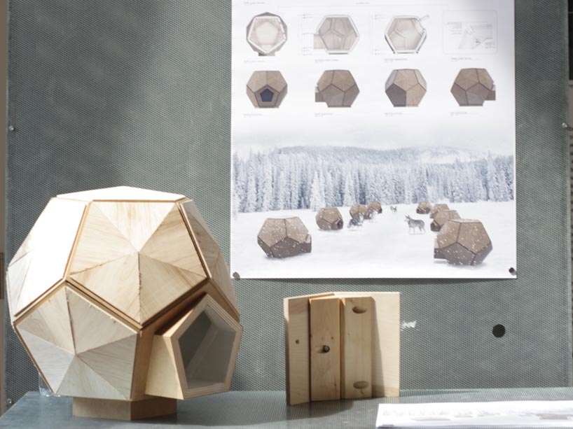 Students design homes for sled dogs for building science class