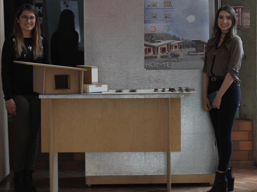 Students design homes for sled dogs for building science class