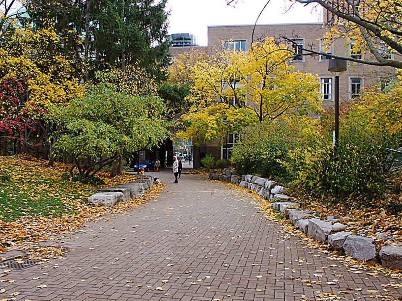 People walking on a brick footpath in the quad