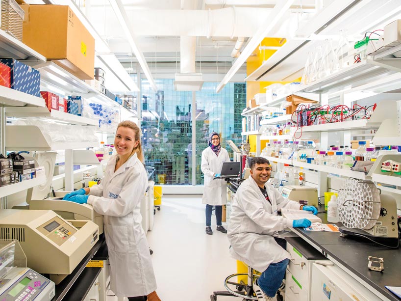 Ryerson University students at work in the Ryerson Lab at MaRS