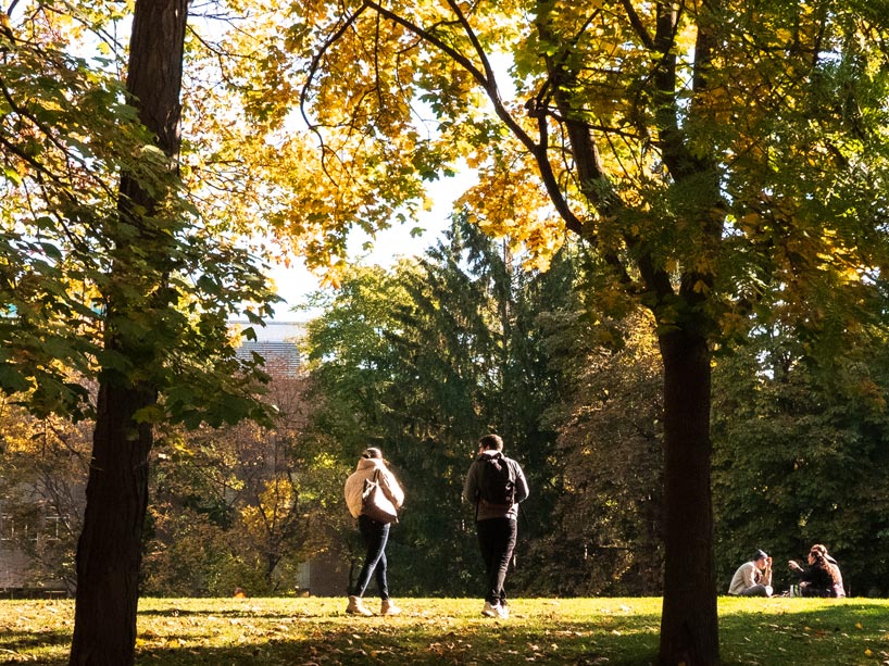 Students walking towards a group of students sitting on the grass in the quad
