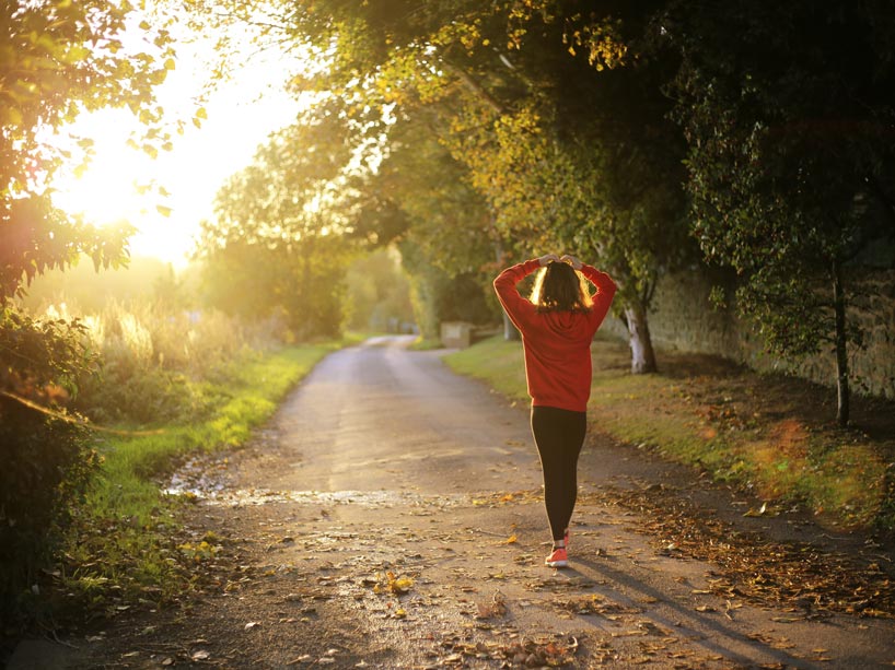 Person walking on a tree-lined road