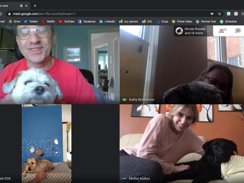 A zoom meeting with students and a therapy dog