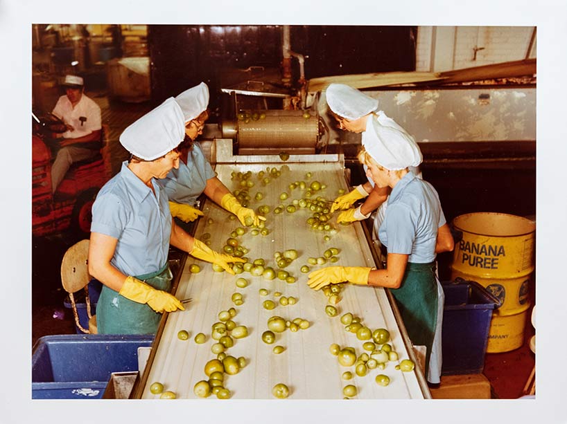 Four women review food on a factory assembly line