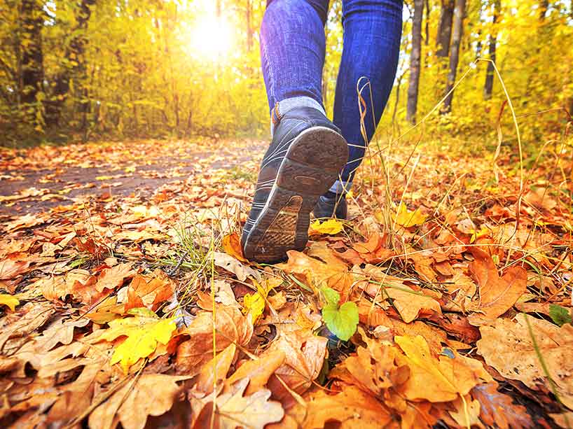 An unidentified person walks through leaves on a path