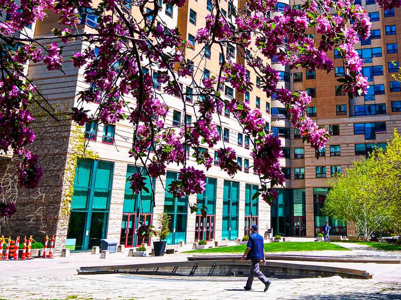 A man walking on Ryerson campus