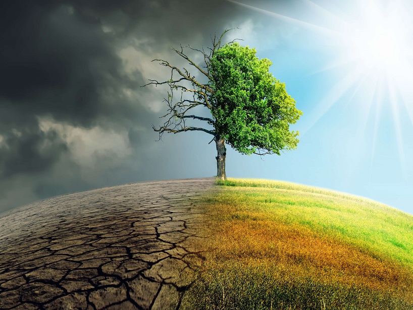 A tree stands in the centre of the earth, with one side charred and barren and the other bursting with life.