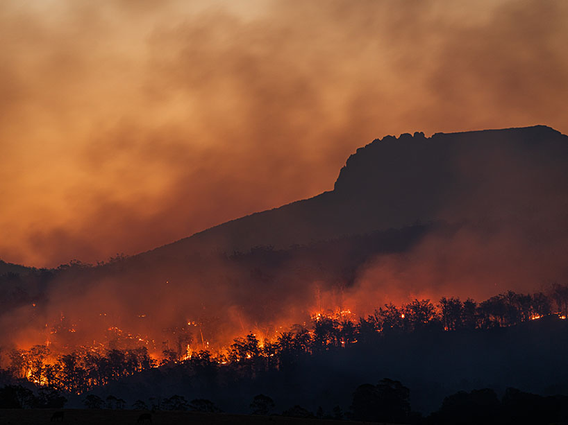 A forest fire burns.