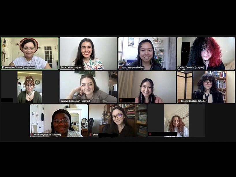 A virtual meeting with 11 people on screen