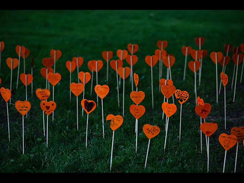 An illustration of many cut-out hearts stuck into the grass.