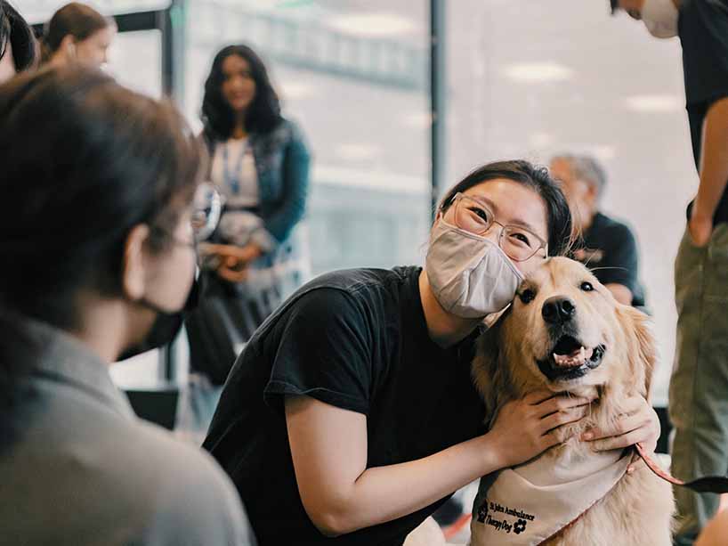 Student wearing a mask hugs a Golden Retriever therapy dog.