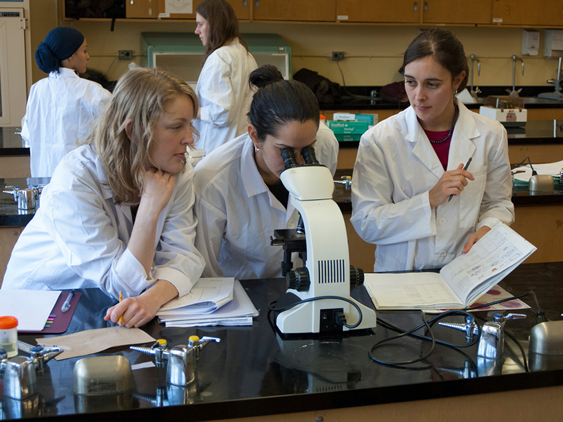 A group of students in lab coats studying a sample at a microscope.