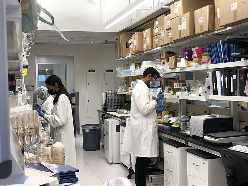 Three students at the MaRS Discovery District lab. 