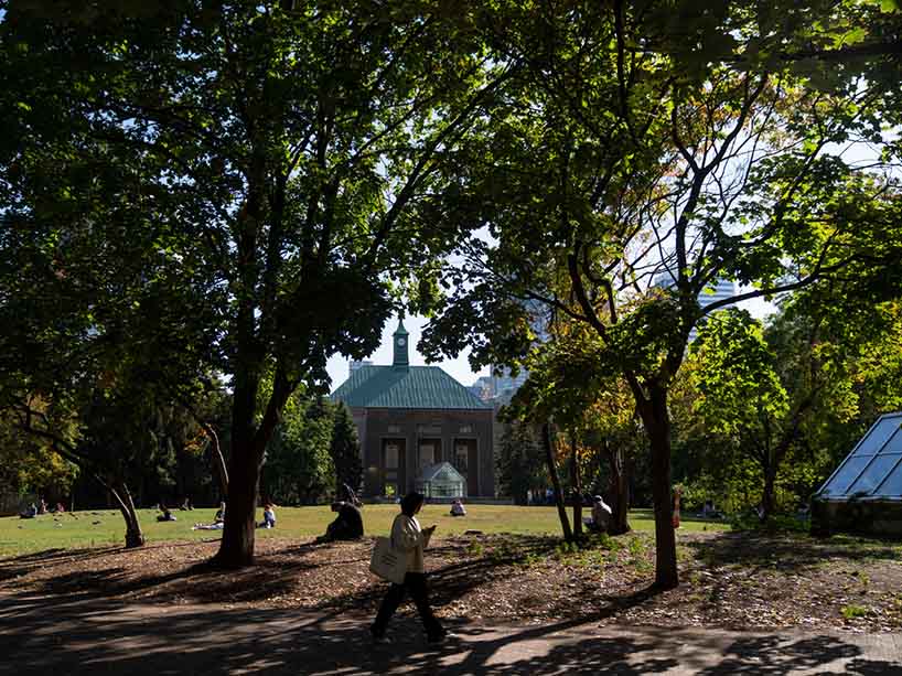 Students walking through the quad on campus.