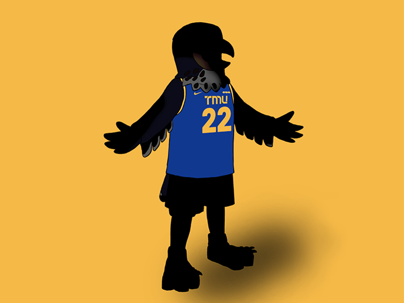 Silhouette of the new falcon mascot