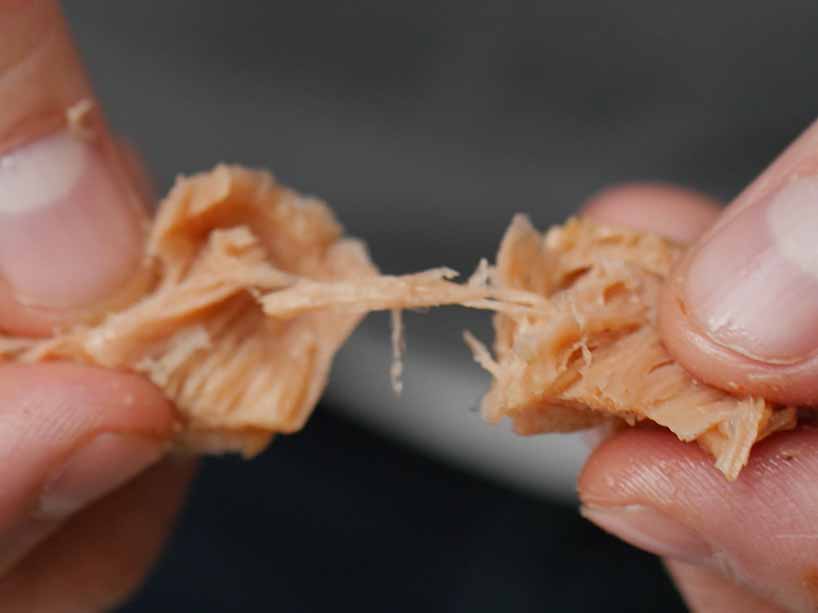 Photo of the artificial muscle fibres and connective tissue being pulled apart in a piece of a plant-based salmon filet.