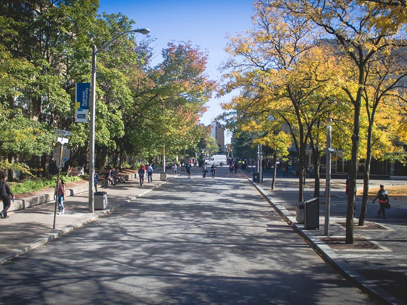 Aerial photo of Gould Street. 