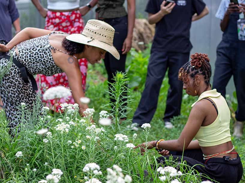 Two people working in a garden together