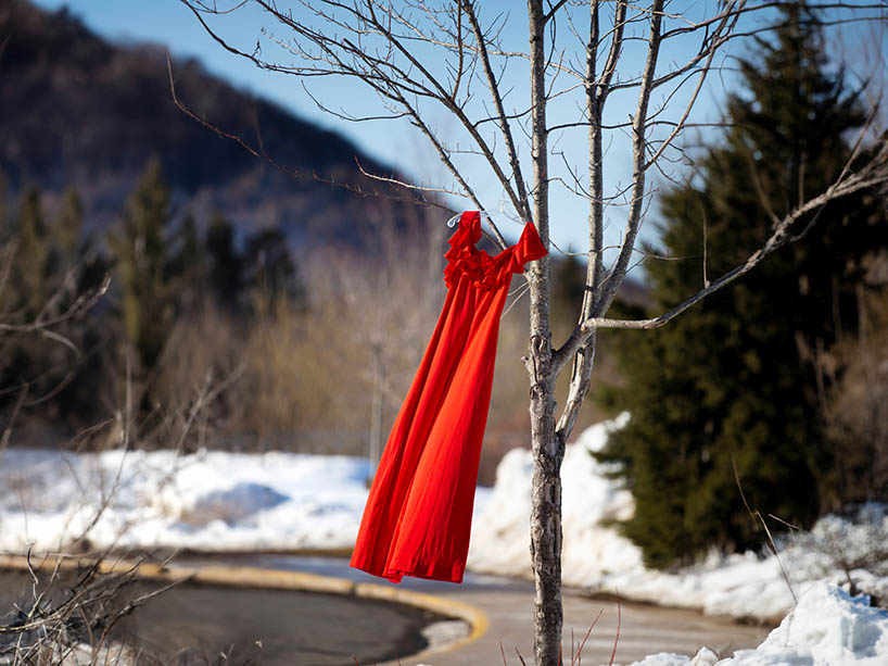 Red dress displayed on a tree. 